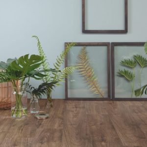 sàn gỗ Norda giá rẻ nhất