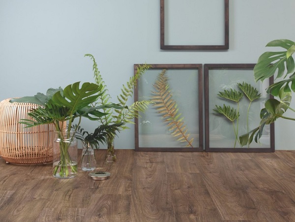 sàn gỗ Norda giá rẻ nhất