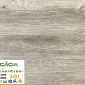 Sàn gỗ Acacia 12mm A3681 Cốt xanh