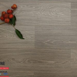 Sàn gỗ Fortune Aqua 802