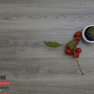 Sàn gỗ Fortune Aqua 803