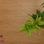 Sàn gỗ Fortune Aqua 809