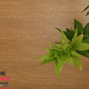Sàn gỗ Fortune Aqua 809