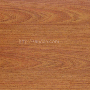 Sàn gỗ ThaiEver TE1916