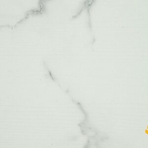 Sàn nhựa Anpro SA102