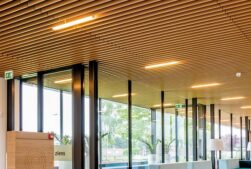 Trần nhựa giả gỗ giá rẻ nhất tại Hà Nội