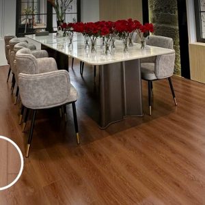 san-thach-anh-Kobler-DXS