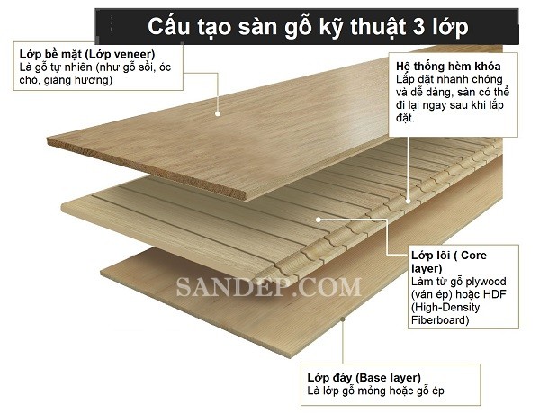 Cấu tạo sàn gỗ kỹ thuật Engineered