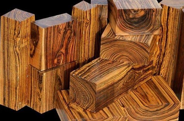 Gỗ Bocote đẹp nhất