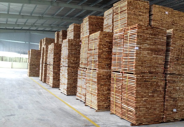 gỗ tự nhiên tốt nhất