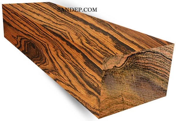 Gỗ Bocote – Gỗ vân đẹp & hiếm có