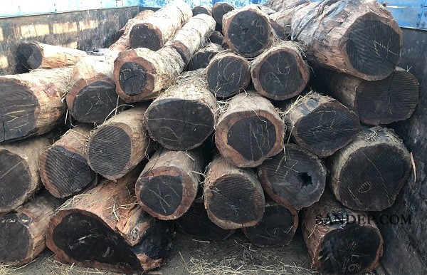 Gỗ Mun (Ebony) – Gỗ đen