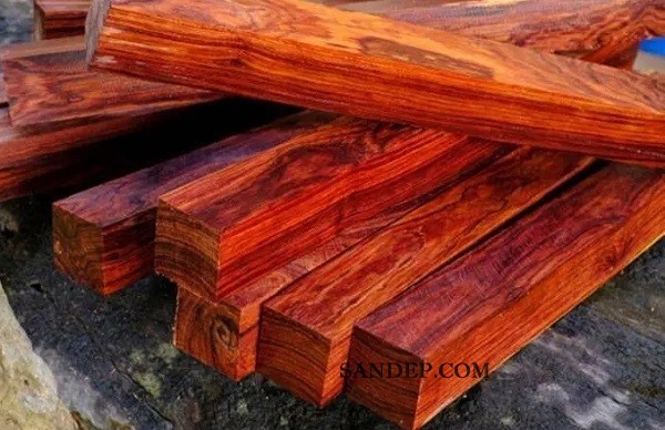 Gỗ Trắc (Dalbergia cochinchinensis) – Gỗ cứng & nặng