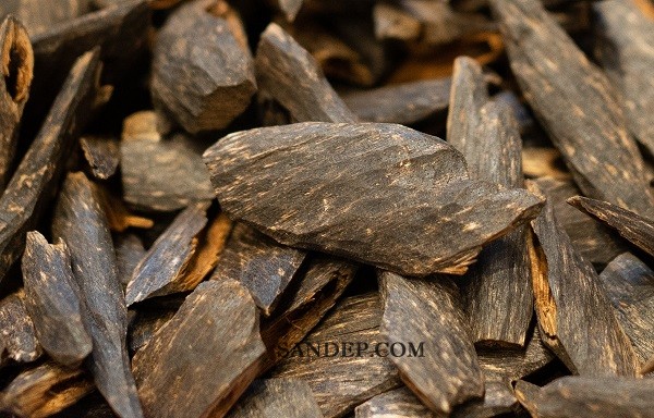 Gỗ Trầm Hương (Agarwood) – Vàng Lỏng của ngành gỗ