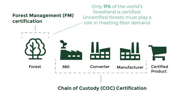 hoạt động FSC