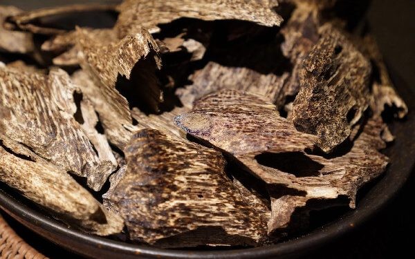 phân biệt gỗ trầm hương