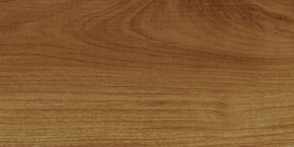 Sàn nhựa Woosoung giả gỗ WS1551