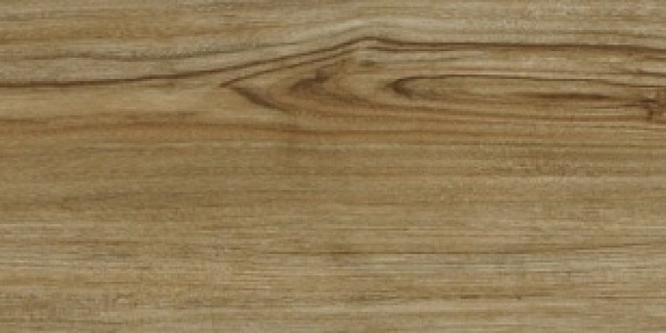 Sàn nhựa Woosoung giả gỗ WS1564