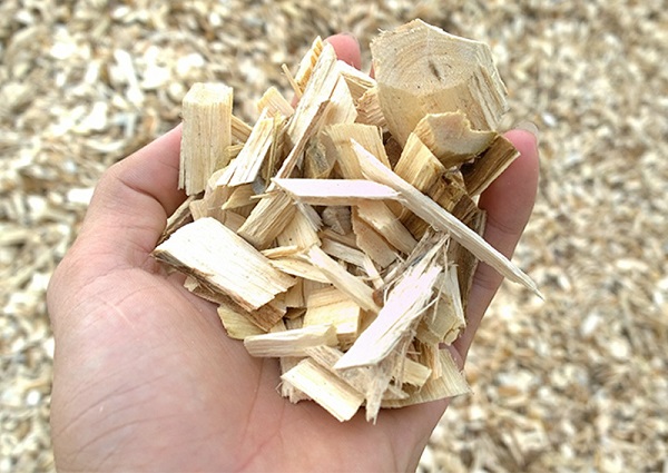 sản xuất ván dăm gỗ