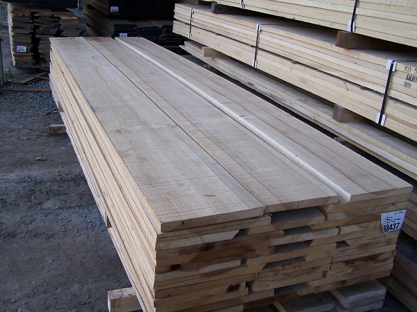 ván gỗ bạch dương
