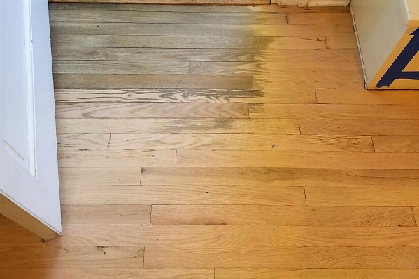 xử lý sàn gỗ ẩm mốc