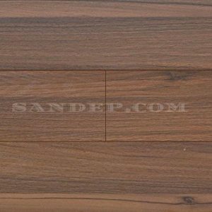 sandep-san-go-wilson-257