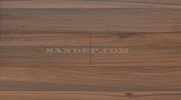 sandep-san-go-wilson-257
