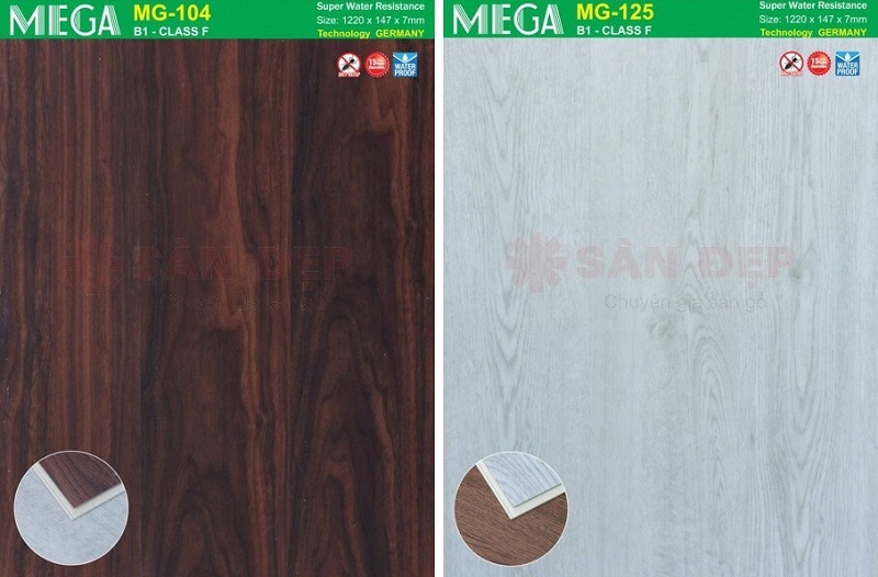 San-nhua-Mega-4