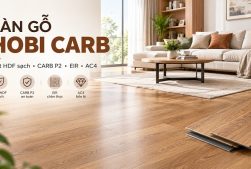 sandep-san-go-hobi-carb