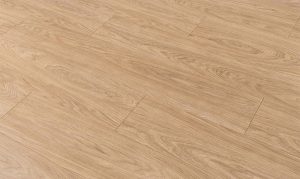 san-go-kronopol-D4581-sandep